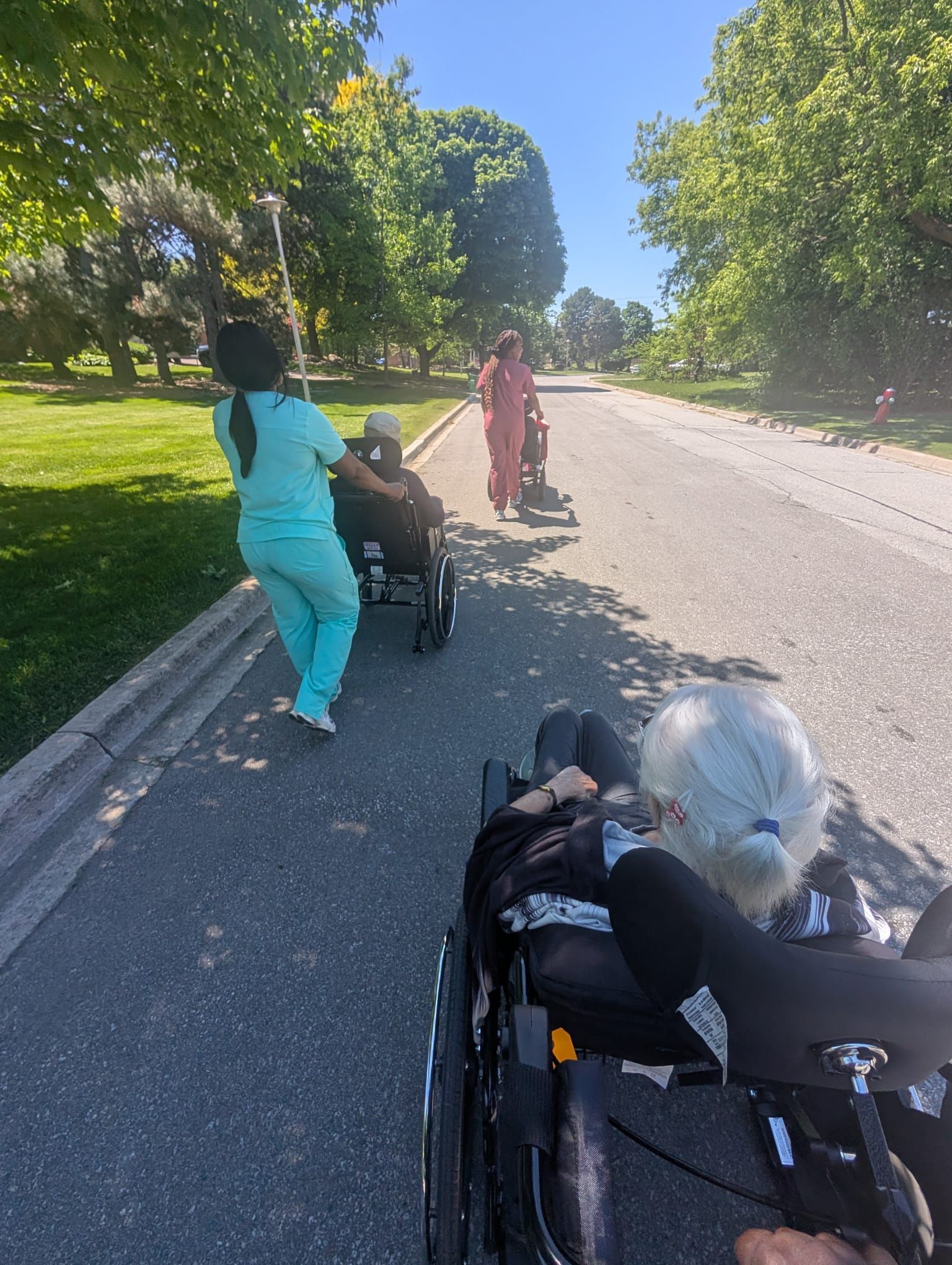 People pushing strollers on a sunny road lined with trees