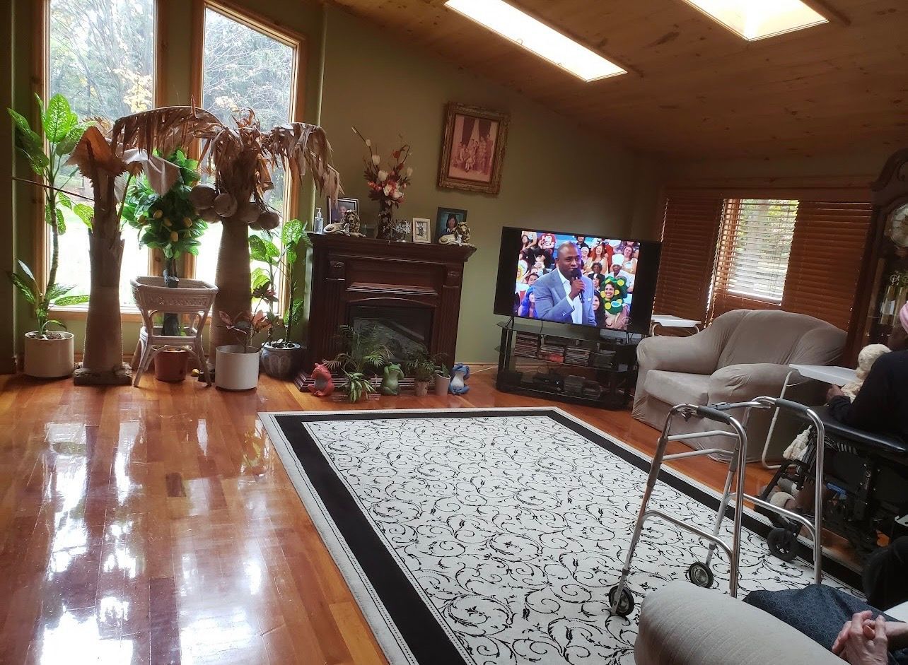 Cozy living room with hardwood floors, white rug, plants, fireplace, TV, and large windows with blinds