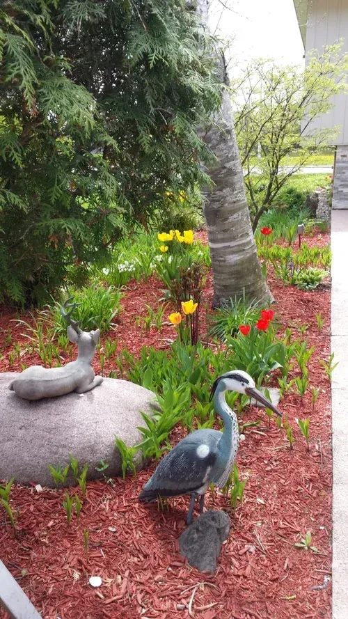 Garden with a heron statue beside a large rock, red mulch, and yellow flowers near a palm tree.