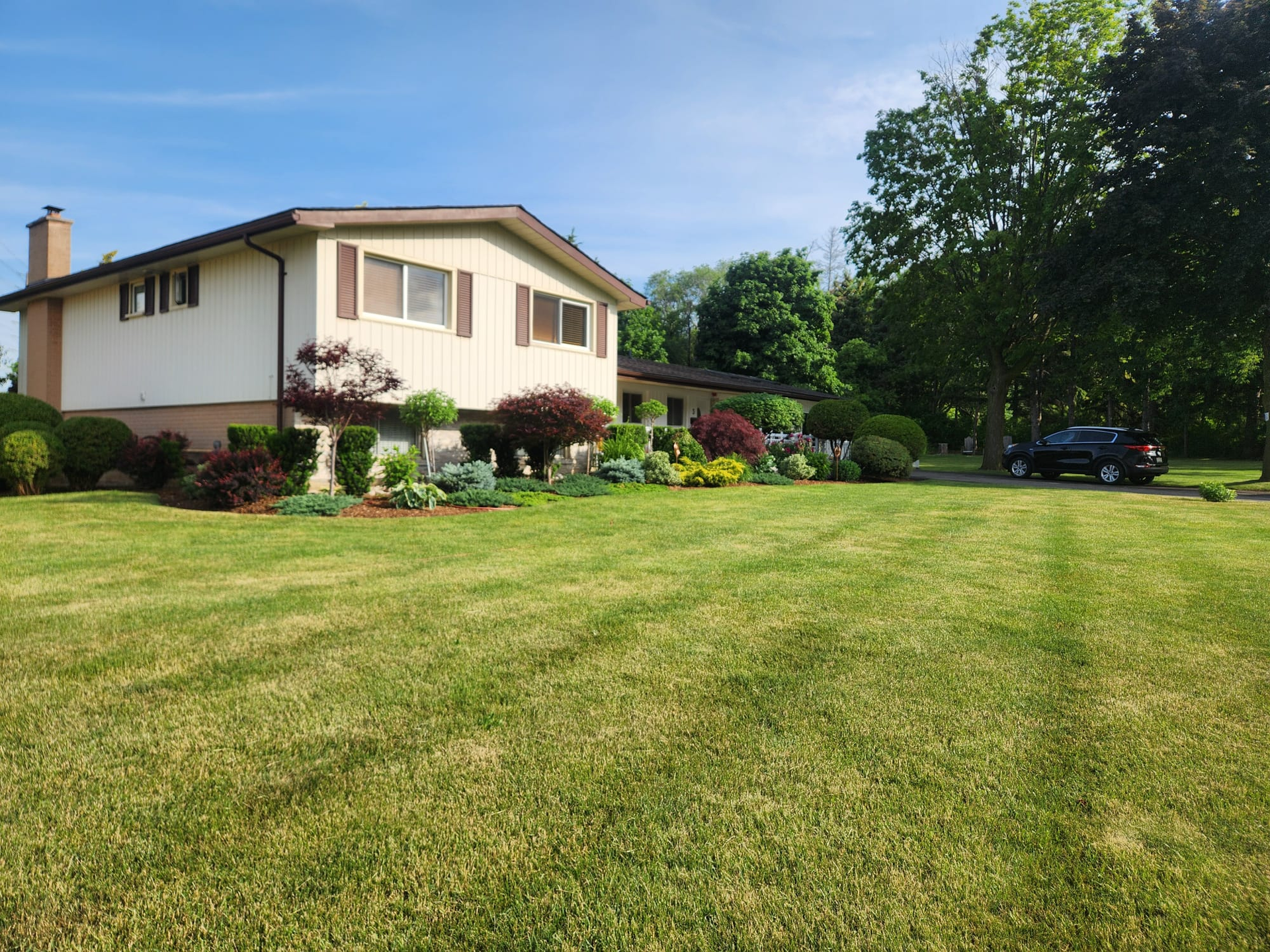 Suburban house with a large green lawn, garden beds, and a parked car under clear blue sky