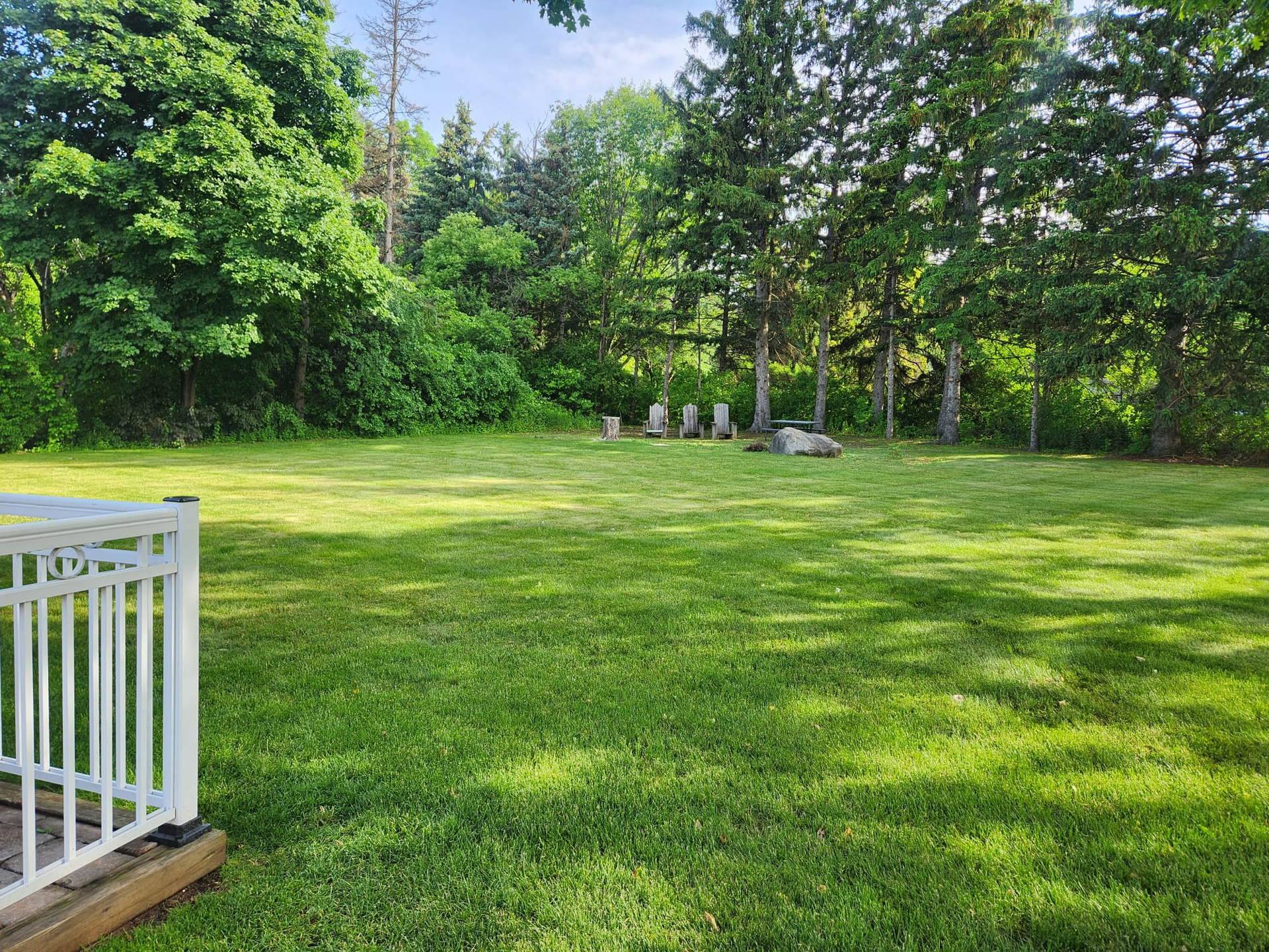 Lush green backyard lawn bordered by tall trees and shrubs, with a white railing at left.