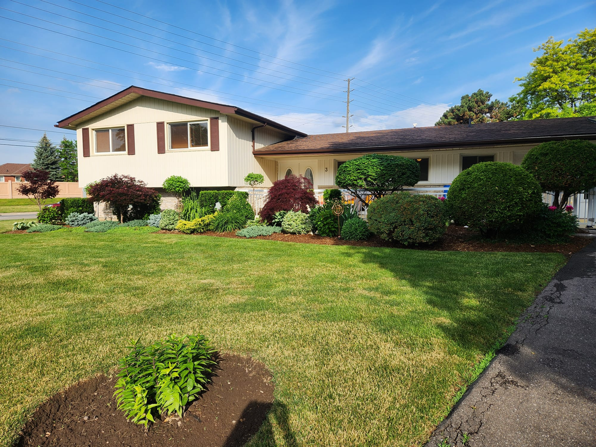 Suburban house with manicured lawn, shrubs, and a driveway on a sunny day