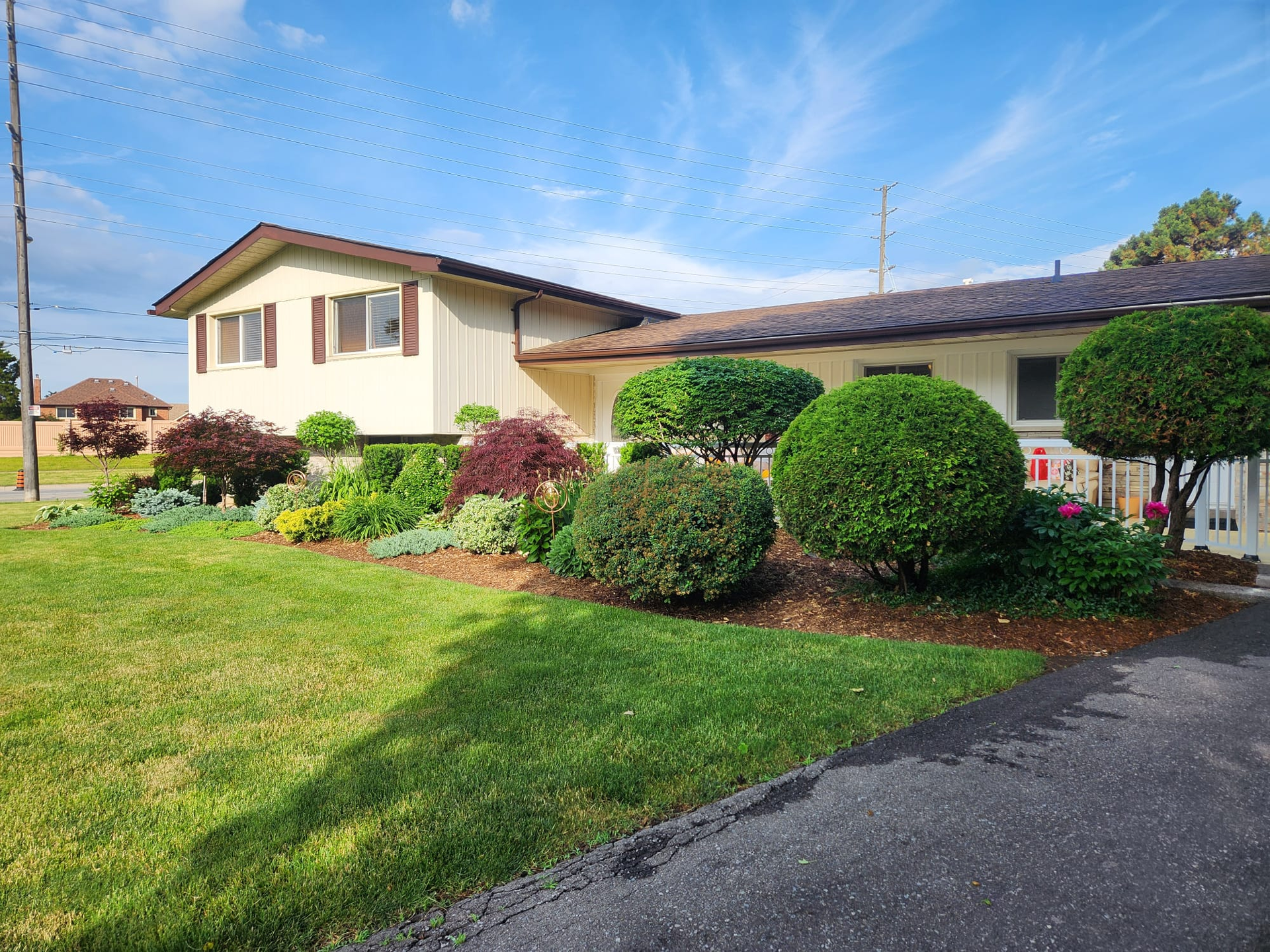 Suburban house with manicured lawn, shrubs, and driveway on a sunny day