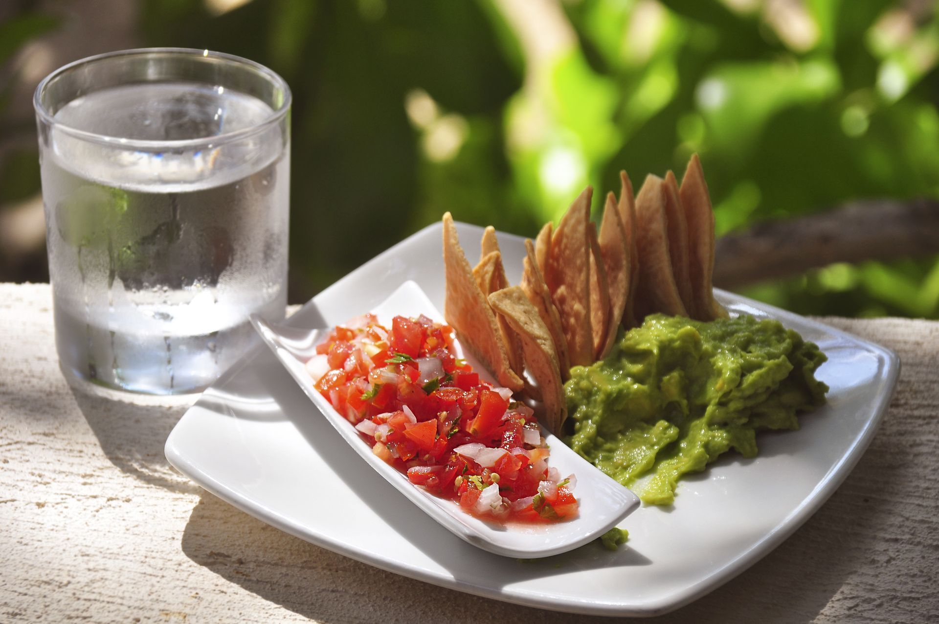 Plate with salsa, guacamole, chips, and glass of water.