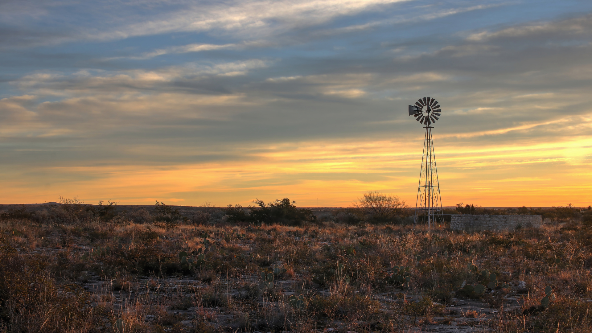 texas