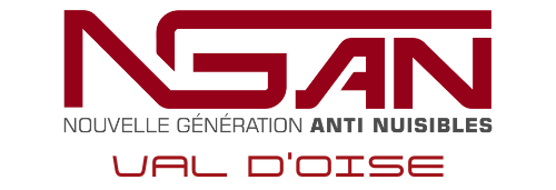 logo de l'entreprise ngan