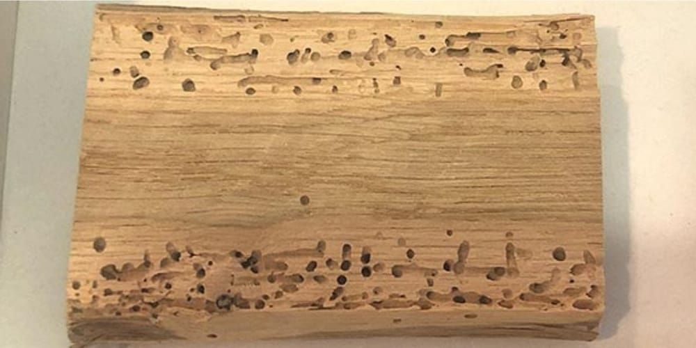 Un morceau de bois avec des trous est posé sur une table.
