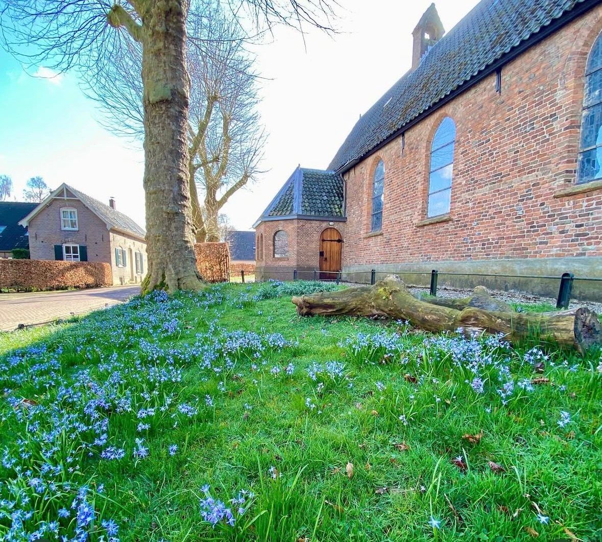 Aangezicht kerk met consistorieruimte aan de zijkant met op de voorgrond gras vol met bloemetjes