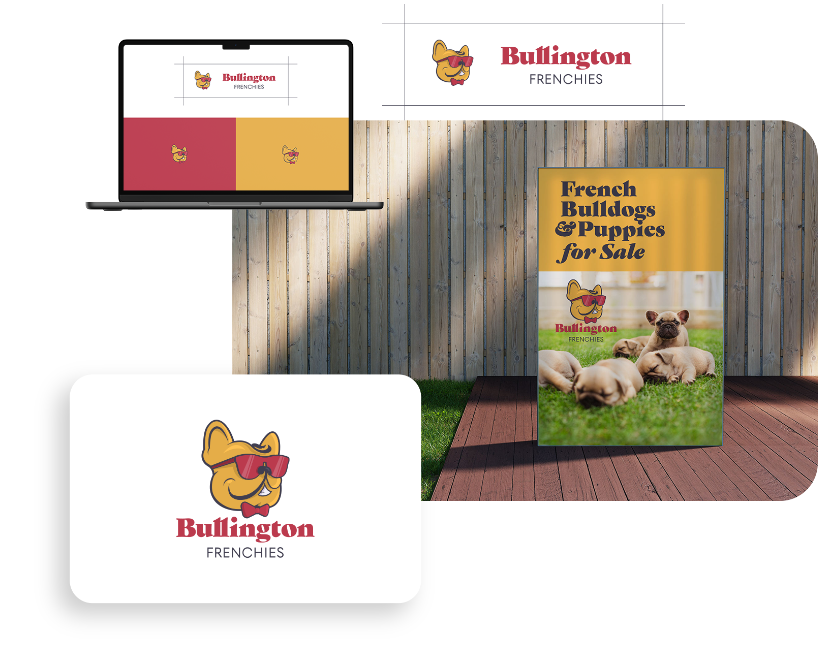 A burlington french bulldog puppy for sale advertisement