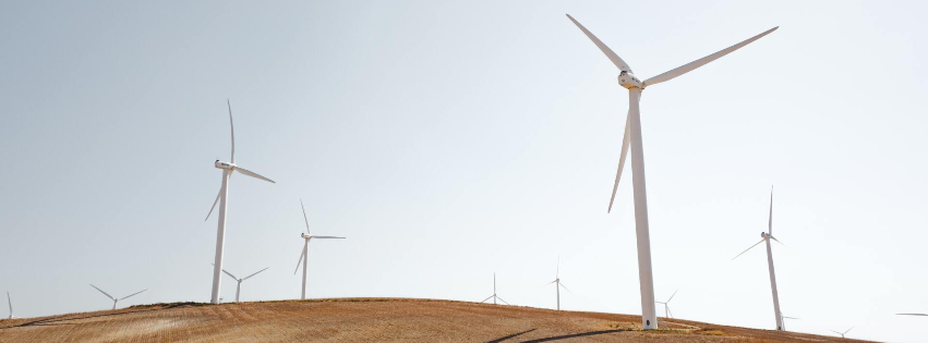 Net Zero, sustainability, ESG, carbon management, leadership, executive, business growth, CSRD, AI governance, Green & Seen
