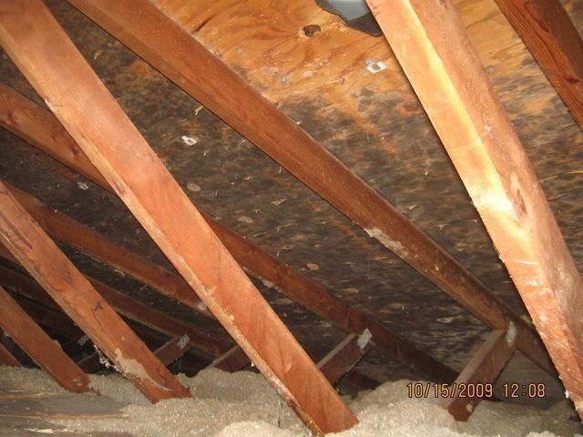 Attic rafters with insulation and wooden beams under a sloped roof