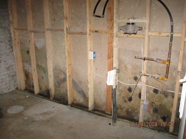 Mold-covered, damp-looking basement wall with peeling paint and stained concrete blocks.
