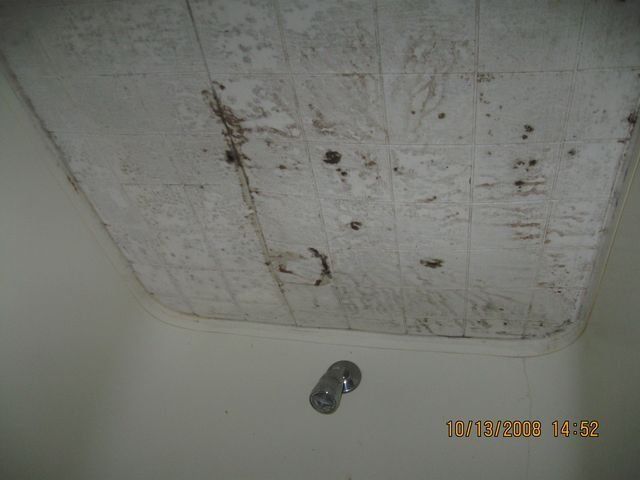 Exposed wall framing and plumbing in a basement under renovation, with a furnace on the right.
