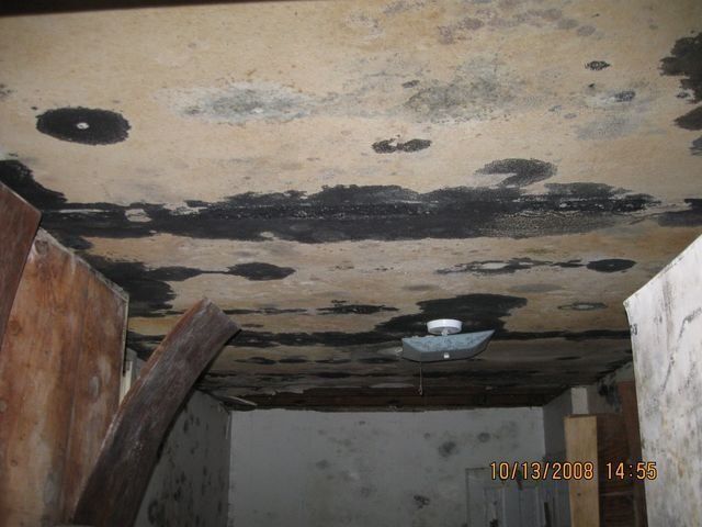 Water-damaged ceiling with large dark stains and peeling paint above an interior room.