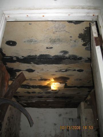 Moldy wall base in an unfinished room with metal framing and concrete floor