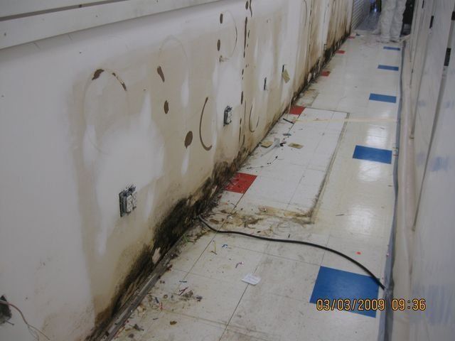 Mold and water damage along the lower walls of a corner room with beige carpet