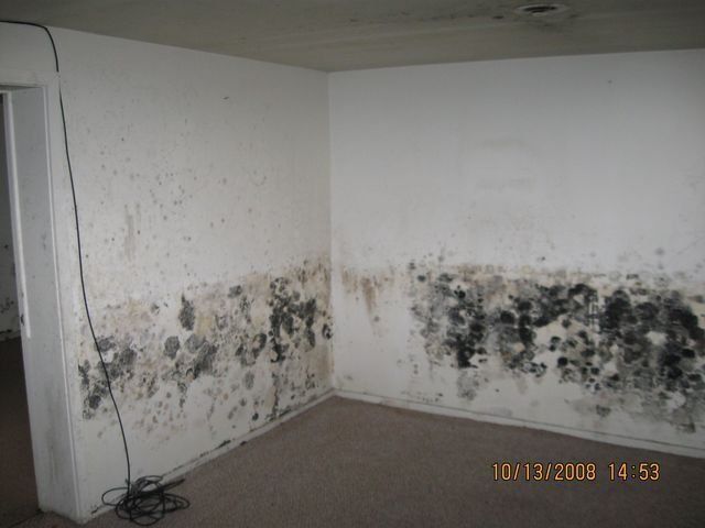 Mold-covered white walls in a corner of a room, with black cable on the floor.
