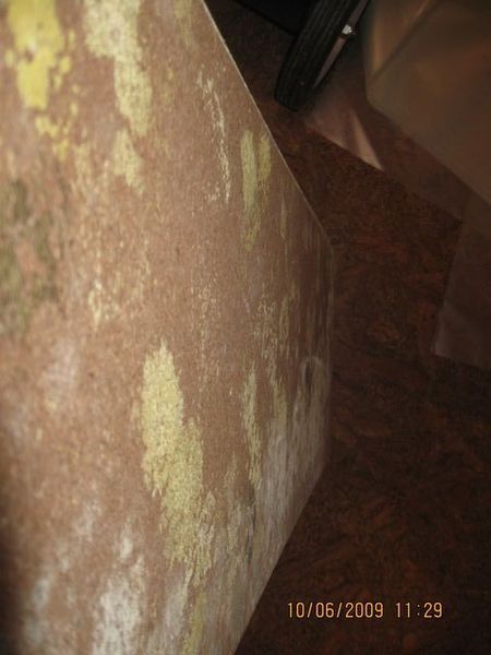Water-damaged wall with mold growth at the bottom and debris on the floor near exposed studs.