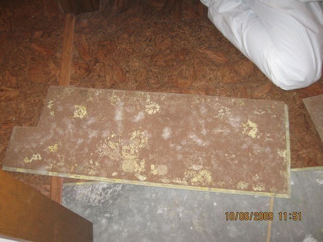 Plastic-wrapped wall panels in a fluorescent-lit room, with a ladder and blue tape on the floor.