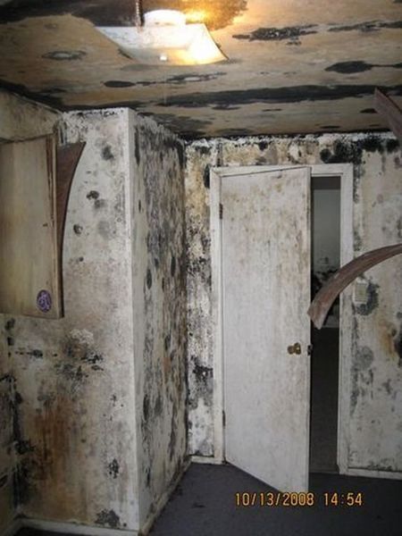 Mold-covered room with peeling ceiling paint, damaged walls, and a partially open white door