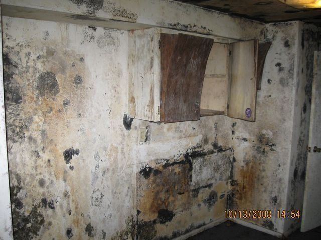 Mold-covered, peeling wall with stained plaster and a small window opening in a decayed interior