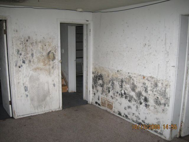 Mold-covered room with stained white walls and open doorway in a dim, empty interior