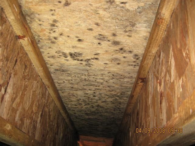 Mold-covered bathroom with damaged walls, a broken mirror, and a sink under a small window
