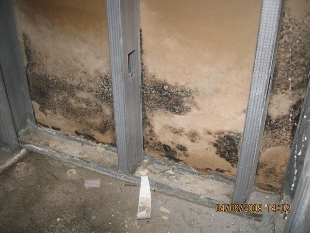 Close-up of a rusty, stained metal surface with yellowish patches in dim light.