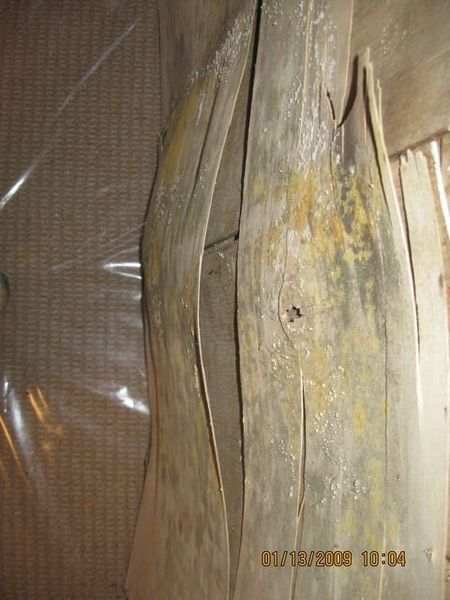 Damaged ceiling with dark mold patches and a lit bulb in a narrow hallway