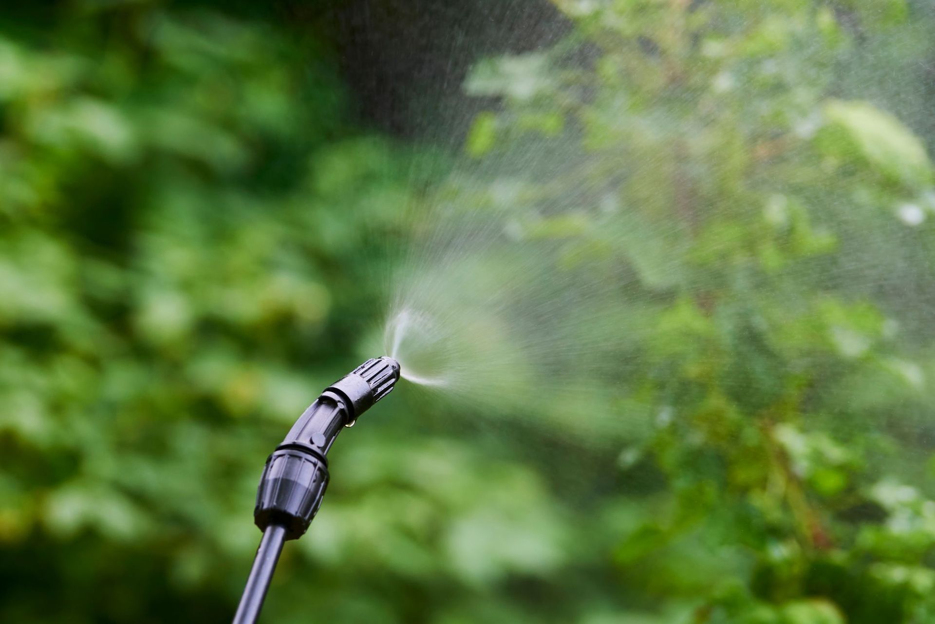 A handheld sprayer nozzle directs a fine mist of water toward blurred green foliage in the background.