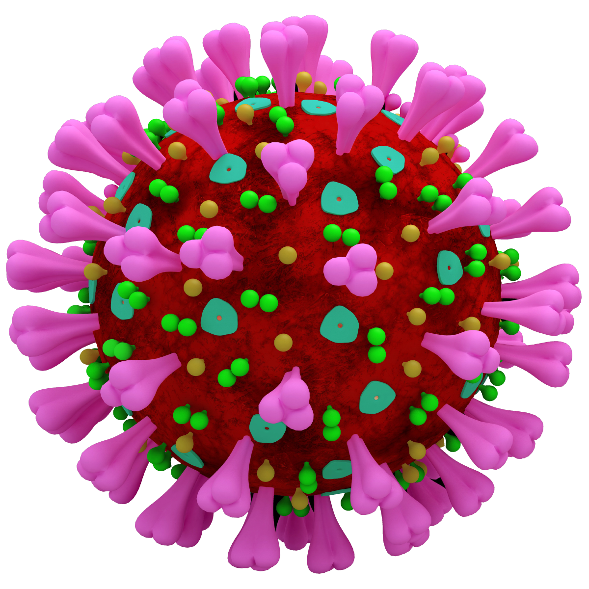 Corona Virus