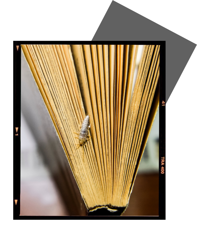 a close up of a book with the number 41 on it