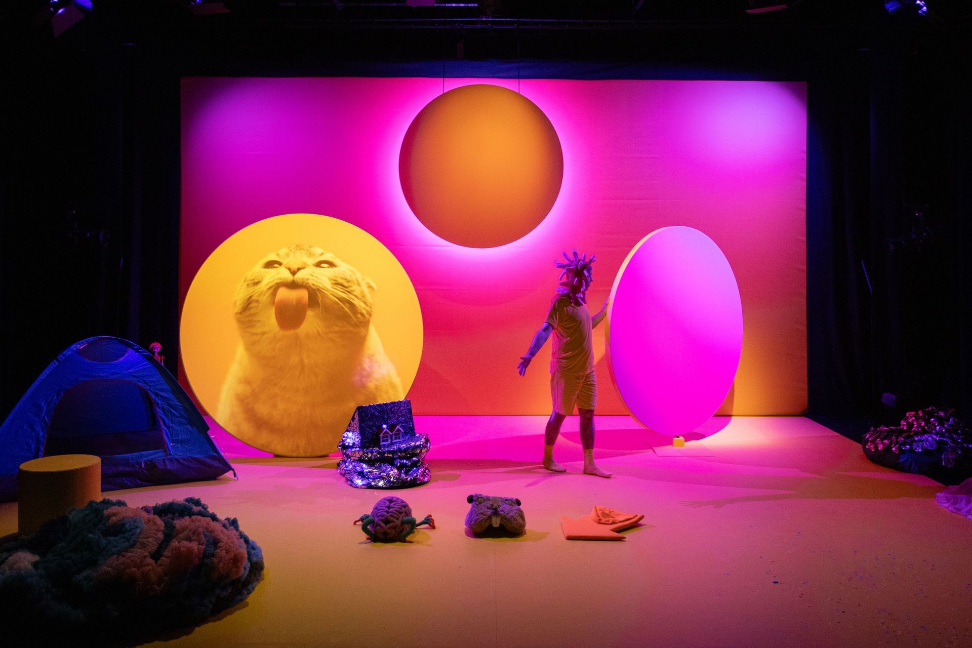 A performer is standing on a stage in next to a projected image of a cat.