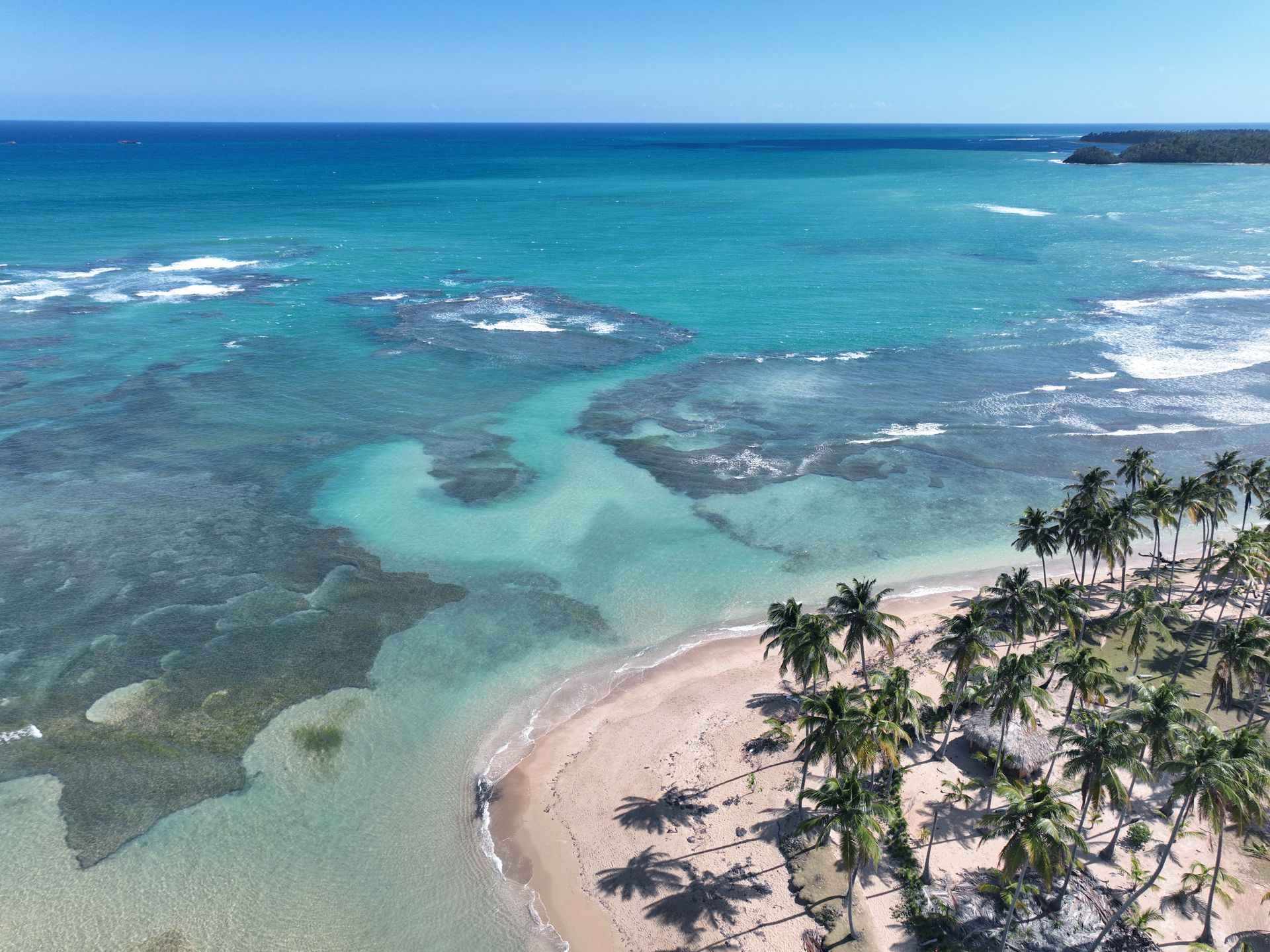 Playa tropical con agua turquesa clara, orilla de arena, palmeras y arrecife.