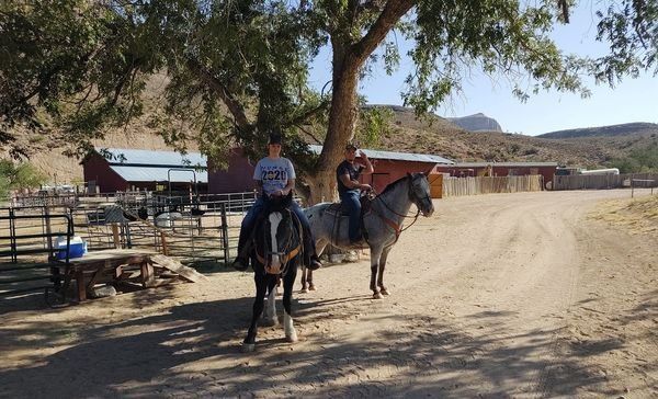 Two people are riding horses on a dirt road.