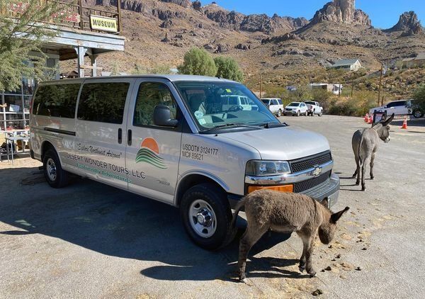 A donkey is standing next to a van in a parking lot.