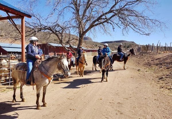 A group of people riding horses down a dirt road