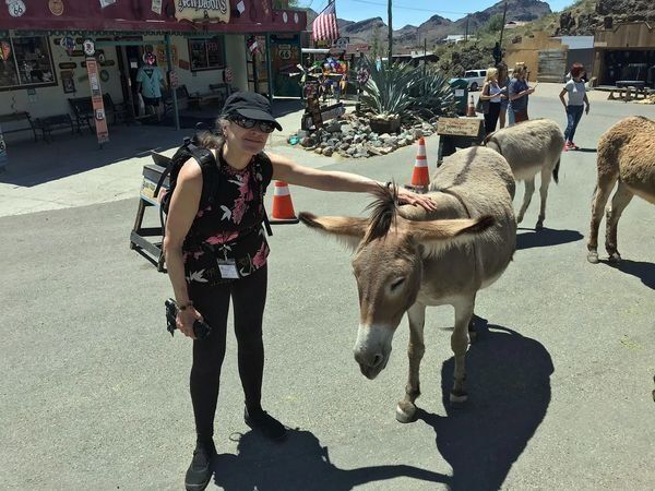 A woman petting a donkey on the street