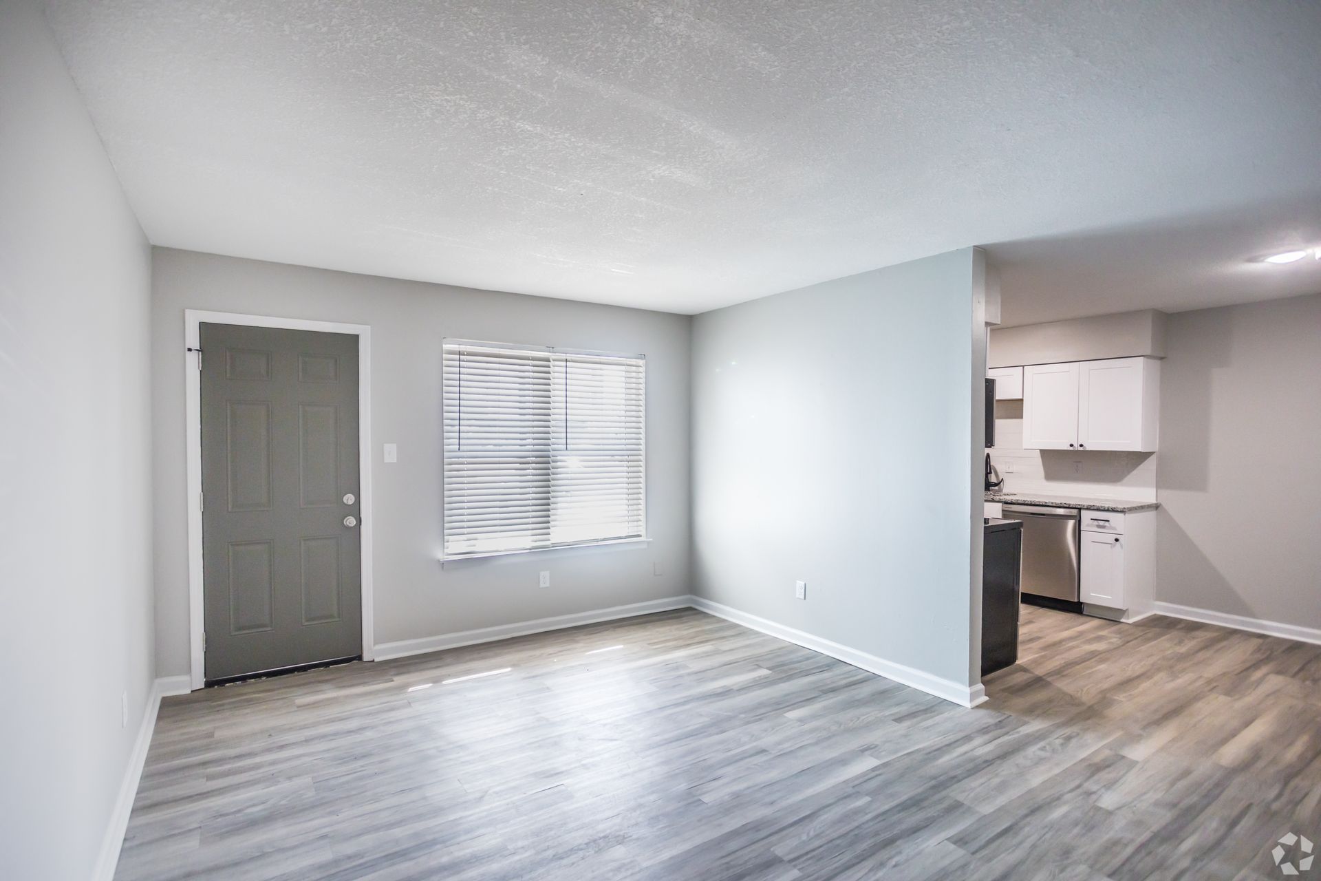 Interior of an apartment: gray door, windows with covered blinds, light gray walls, laminate flooring, and a glimpse of the kitchen.