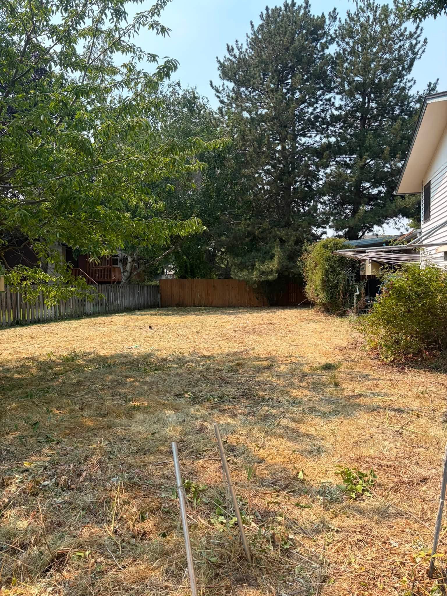Dry backyard with patchy grass, trees, a wooden fence, and part of a house on the right.