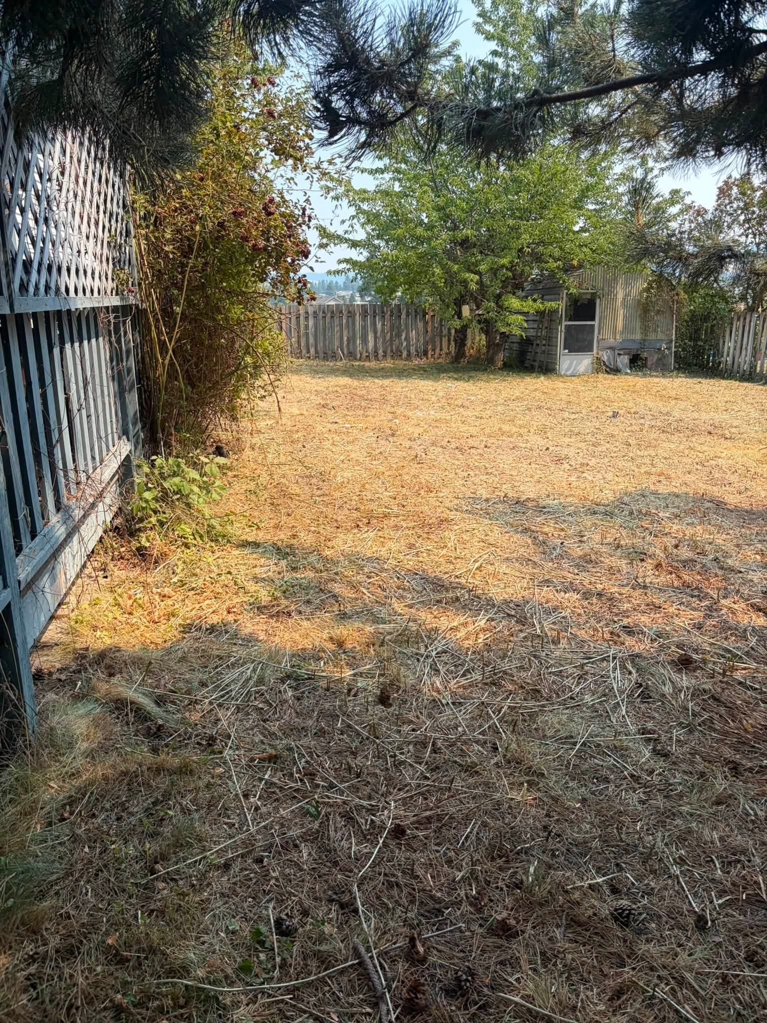 Gravel-covered backyard with a metal fence, trees, and a sunlit patch of yellow leaves