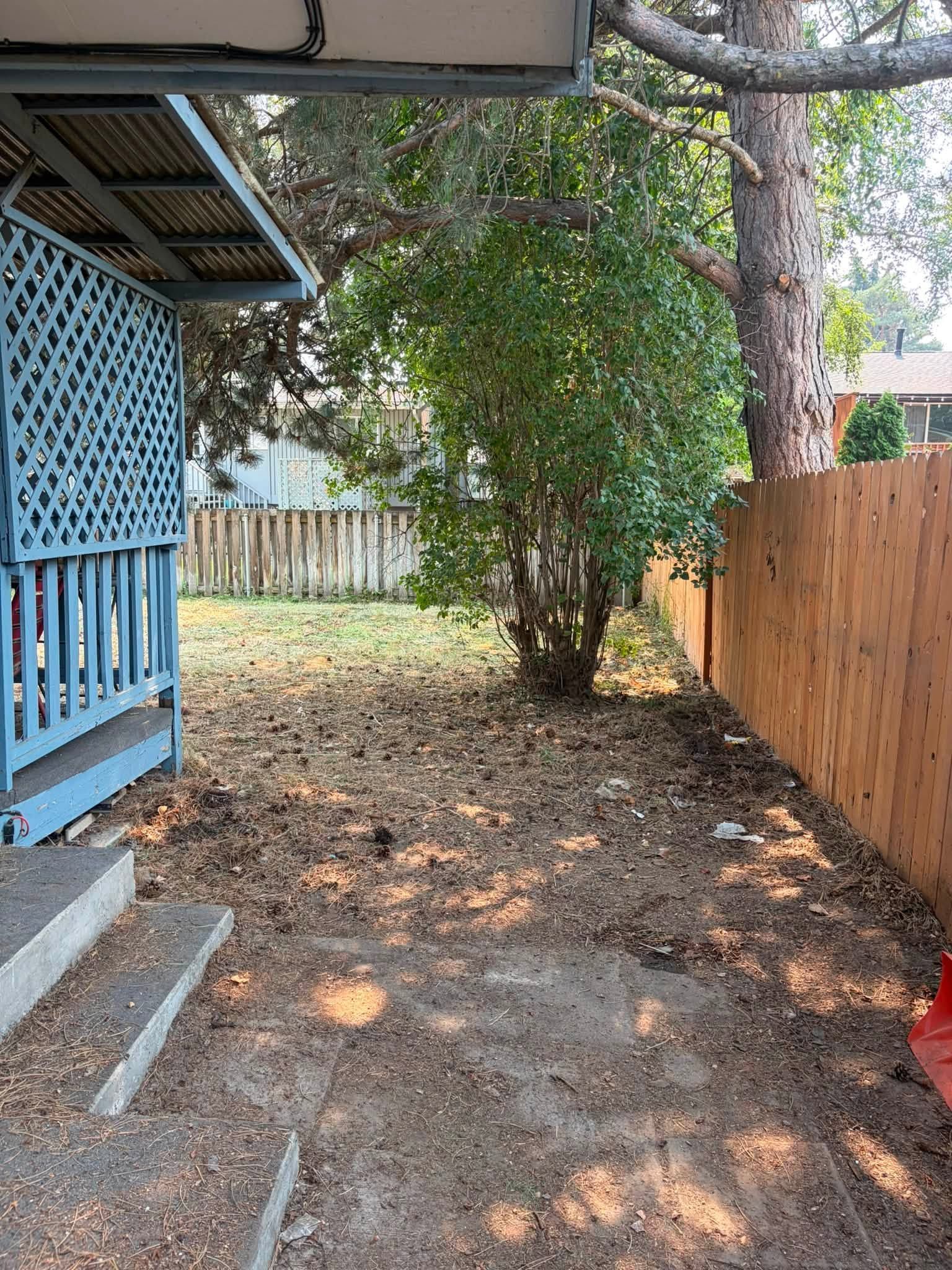 Narrow dirt yard beside a blue porch and wooden fence, with a tree and leafy bushes.