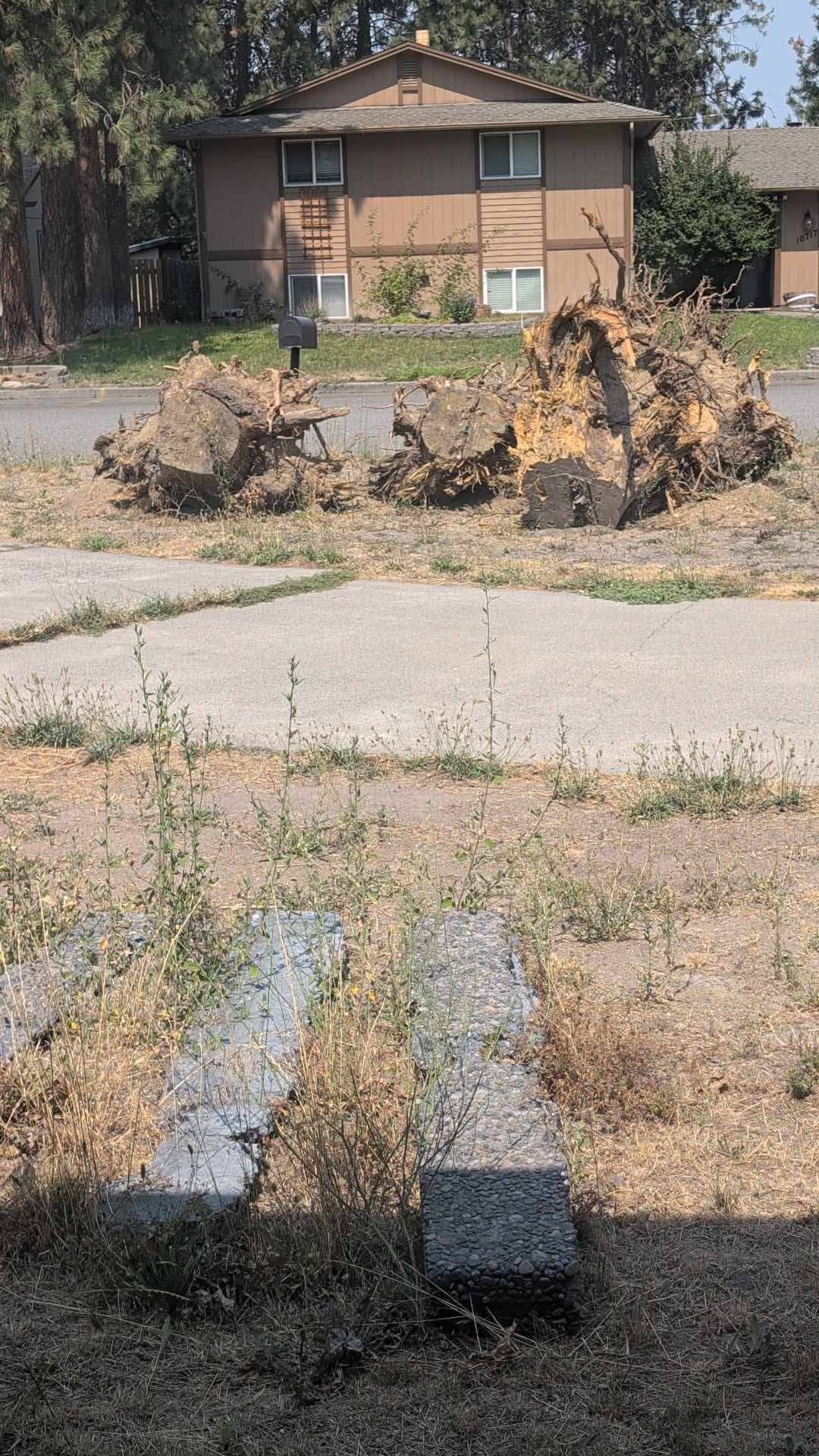 Rubble and a cut tree trunk sit by a sidewalk in front of a house and street.