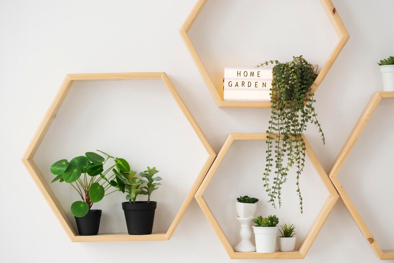 Williston Highlands Hanging Shelves