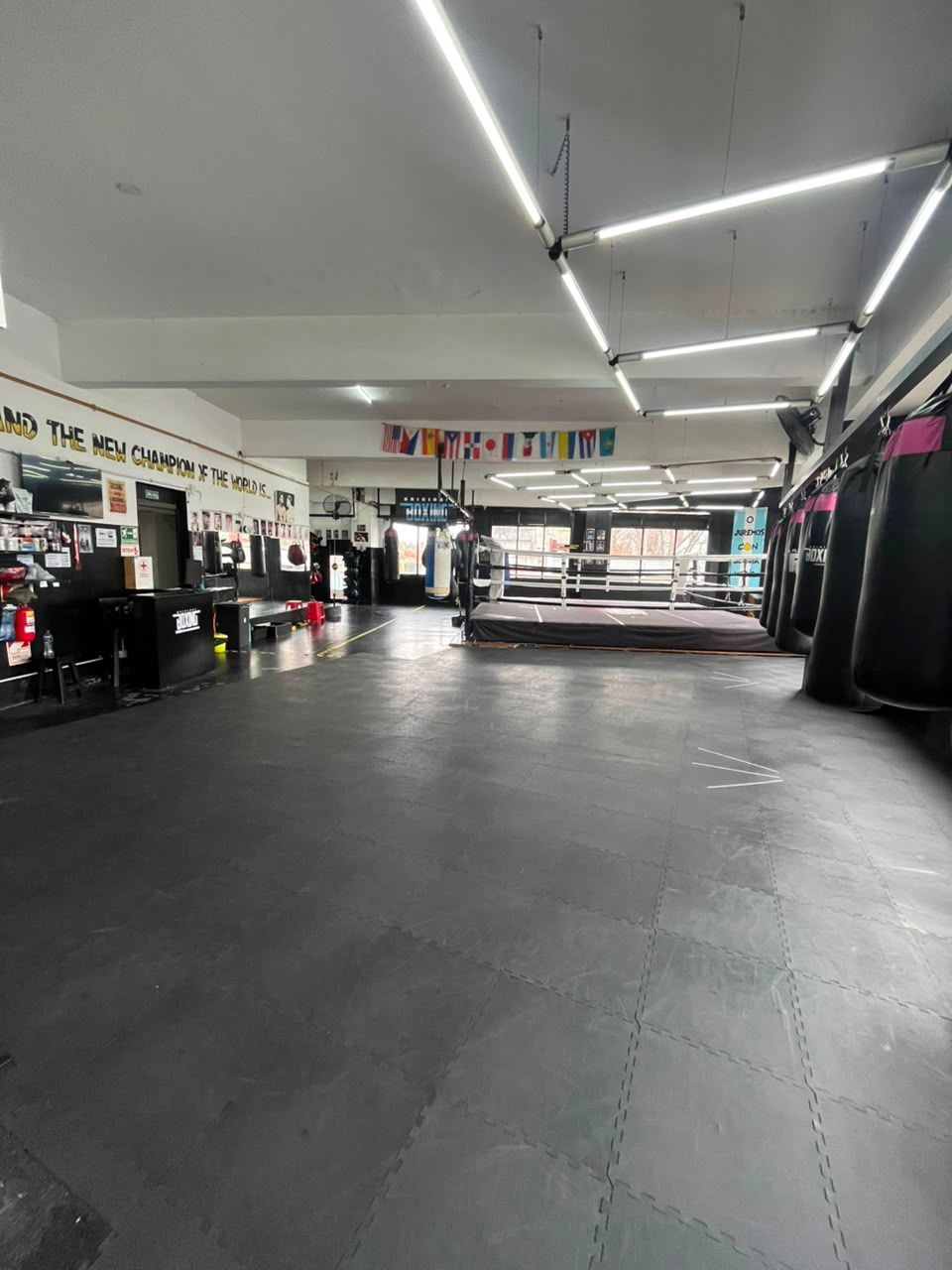 Gimnasio de boxeo vacío con sacos de boxeo, ring y luces fluorescentes en el techo.