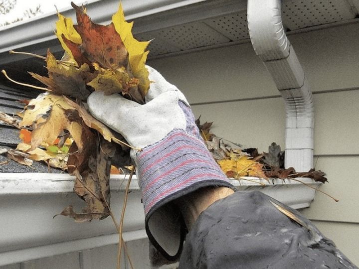 A person is holding a bunch of leaves in their hand