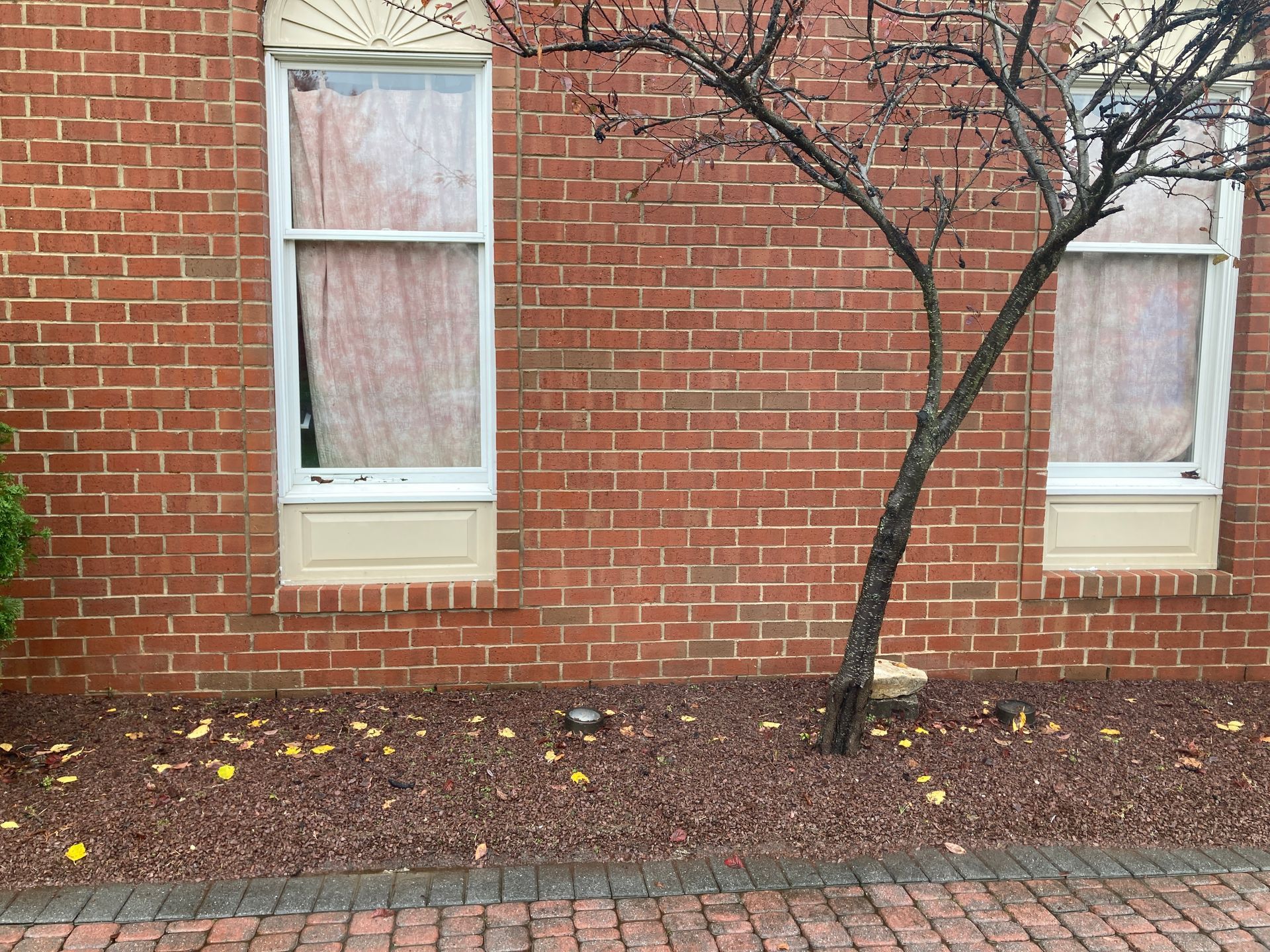 A brick building with two windows and a tree in front of it.
