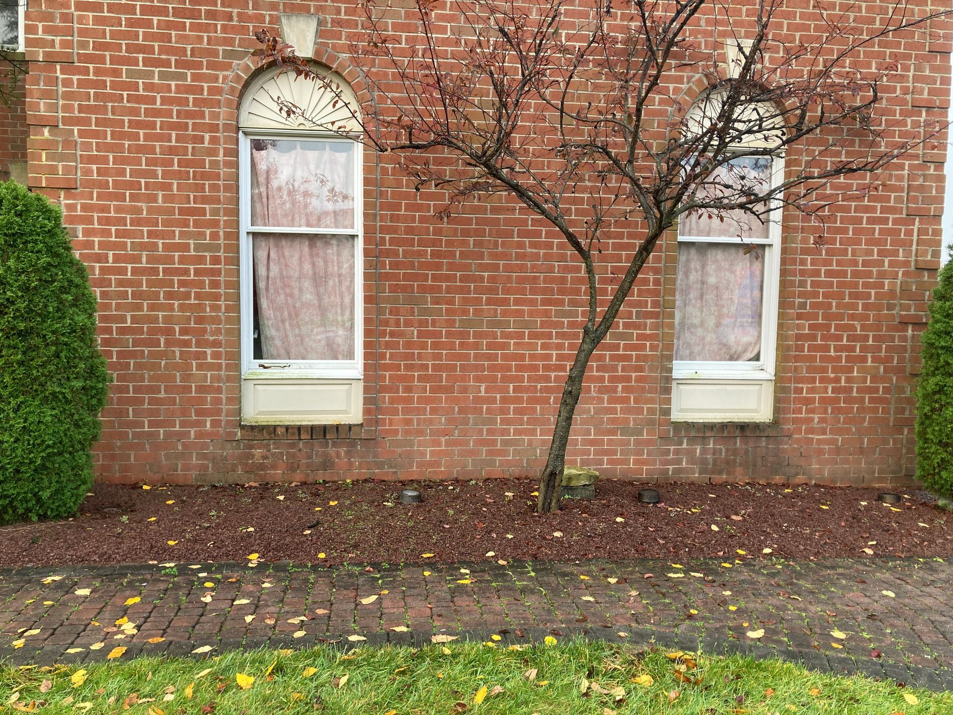 A brick building with two windows and a tree in front of it.