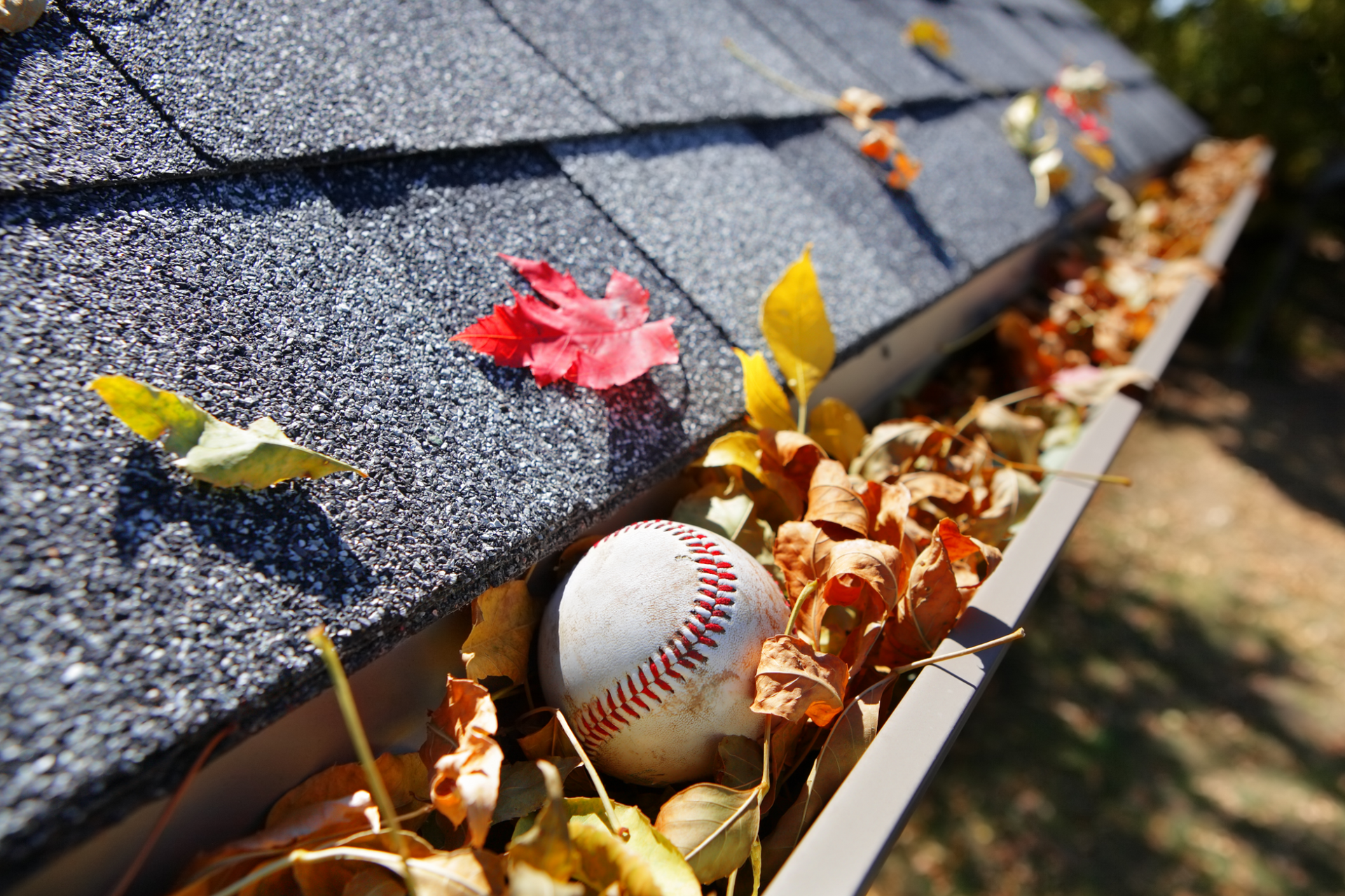 Debris in Gutter to be cleaned in Rumson NJ