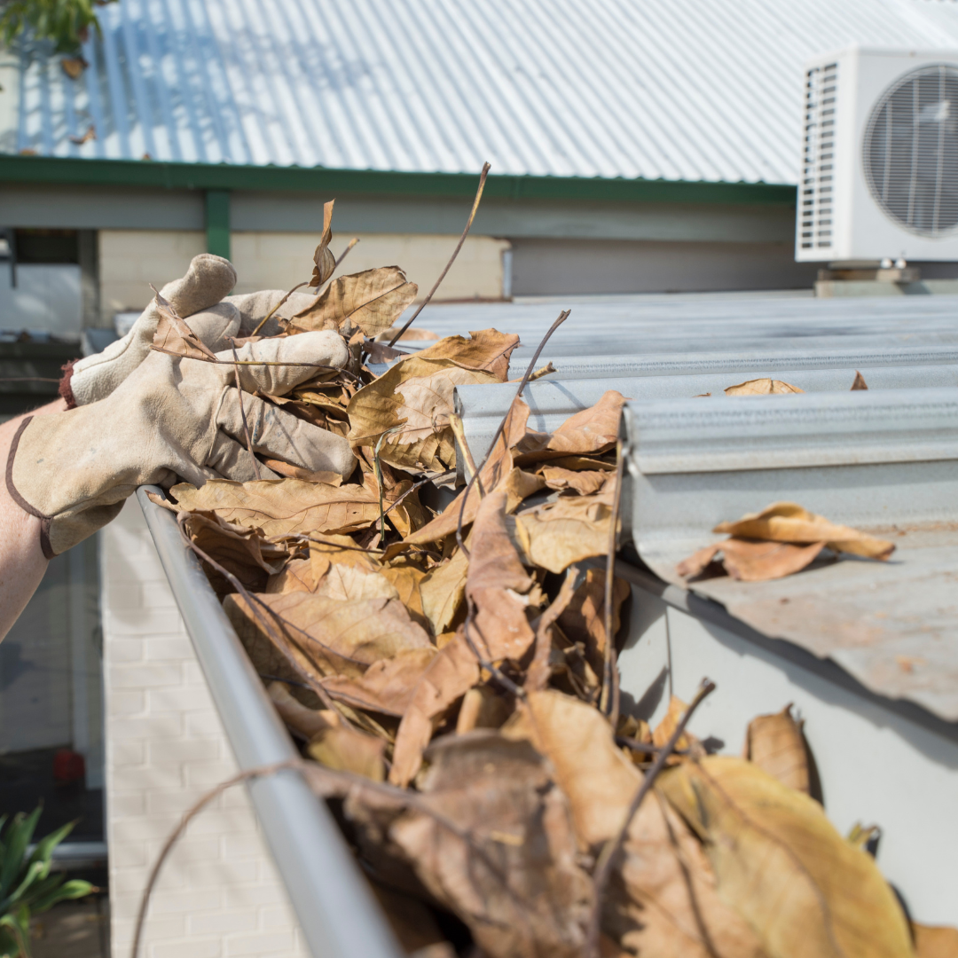 gutter cleaning in Millstone